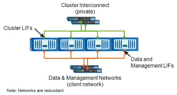 NetApp Intercluster Switch