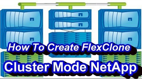 What Is FlexClone In NetApp Cluster Mode